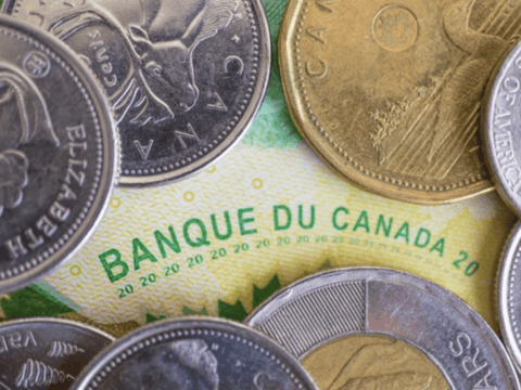Micro Finance Institutions