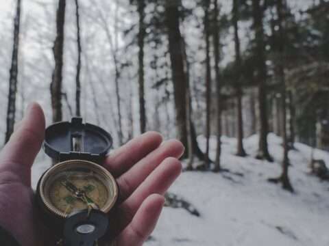 Searching