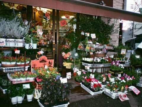 Storefront decorated for Halloween representing a seasonal business